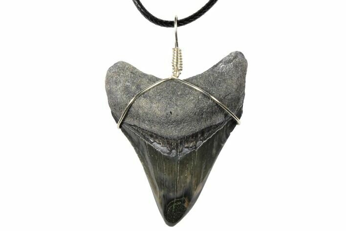 Fossil Megalodon Tooth Necklace #130967